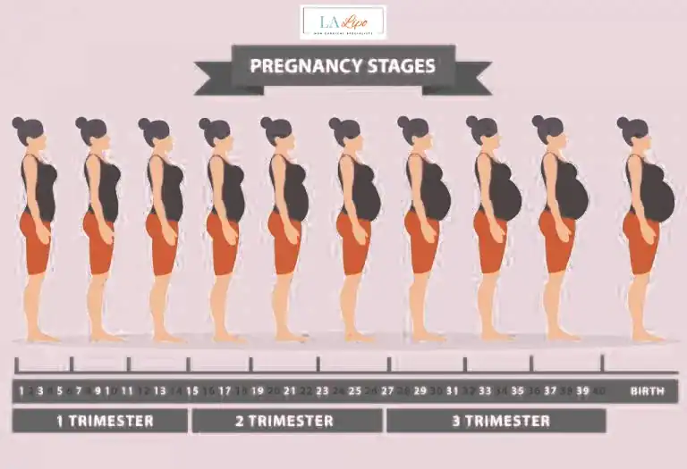 First Trimester (Weeks 1–12): Early Changes You Might Not Notice Bagshot